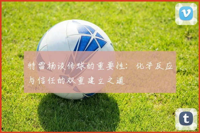 特雷杨谈传球的重要性：化学反应与信任的双重建立之道